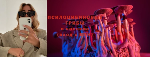 2c-b Богородицк