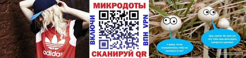 OMG зеркало  Киренск  Псилоцибиновые грибы прущие грибы 