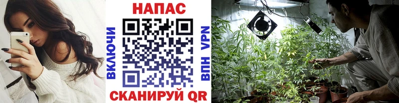мега ТОР  Киренск  Каннабис семена 